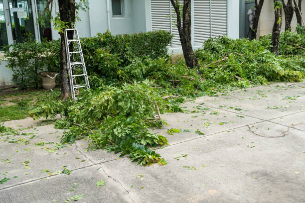 Residential Tree Removal in Garden City, GA